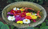 Clark Botanic Garden