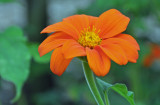 Clark Botanic Garden