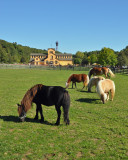 Old Bethpage Village