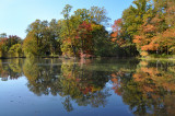 Bailey  Arboretum