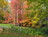 Old Westbury Gardens