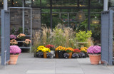 NY Botanical Garden