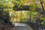 New York Botanical Garden