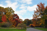 New York Botanical Garden