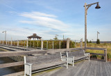 Oyster Bay