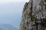 DSC00464_DxO.jpg