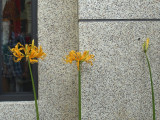 PA042464.jpg