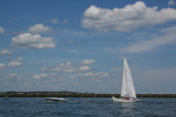 IMG_8255.jpg