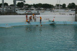 IMG_8446.jpg