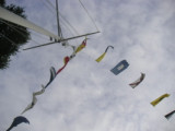 PICT5849.jpg