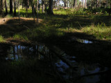 Wet Area