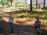 Burn Sign