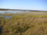 LakePan4