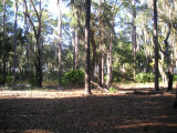 MidTrailDir2