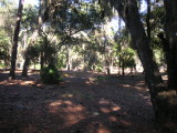 MidTrailDir3