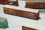 Model by Elizabeth Allen