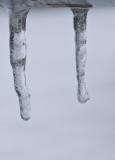 Icicles (forest for the trees)