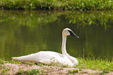 CRW_4215.jpg