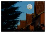 Cuando salga la Luna...