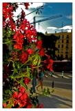 Por la calle de Alcal...