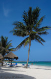 20100711_akumal_0024.jpg