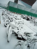 ULSAN SNOW 2011