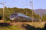 A TGV Sud-Est near Carnoules. Heading to Nice.