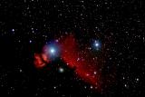 Horsehead Nebula & Friends