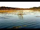 Conroy Marsh-Boulter ONT