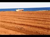 PEI-Field with Boat