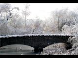 Snow Bridge-Toronto