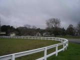 Nicasio 3