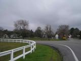 Nicasio 2