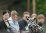 A captive audience
