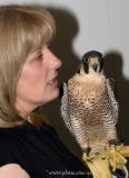 Marion Nash with Falon, a female Peregrin Falcon