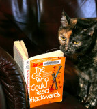 Reading Backwards
