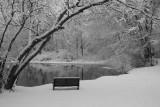 bench