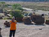 Phyllis taking a picture of another type of petrified wood tw.jpg