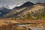 Frozen Creek in Meadow