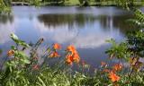 Cowling Arboretum