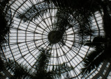 Mcneely Conservatory
