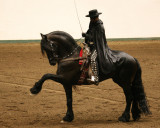 Coliseum Horse Show