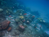 Barbara Beach, Curaao