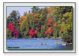 Paddling The Shoreline Of Canoe Lake