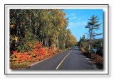 Opeongo Road