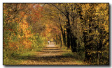 A Quiet Walk On A Fall Day Along The Erie Canal