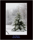 An Ice Storms Cloak