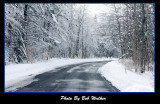Snowy Country Road, Tis The Season