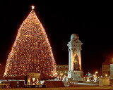 Christmas Tree In Clinton Square