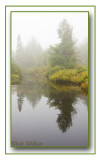 Misty Reflections Are Still Seen